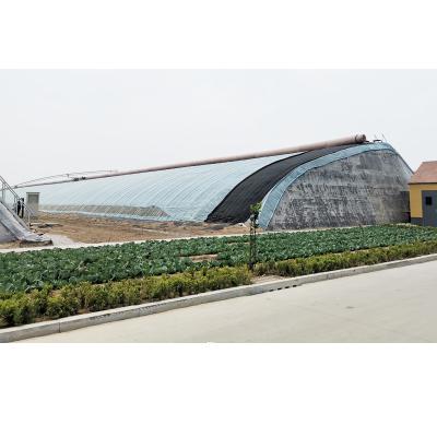 China Stable Structure Easily Assembled Winter Solar Heater Agricultural Greenhouse For Tomato Or Vegetable Growing for sale