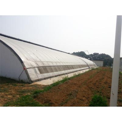 China Stable Structure Easily Assembled Professional Supply Sales Customized Cultivation Agricultural Solar Powered Greenhouse for sale