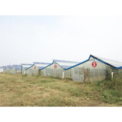 China Thermal Insulation Quilt Discount Price Customized Hydroponic Photovoltaic Growing Greenhouse With Photovoltaic Power for sale