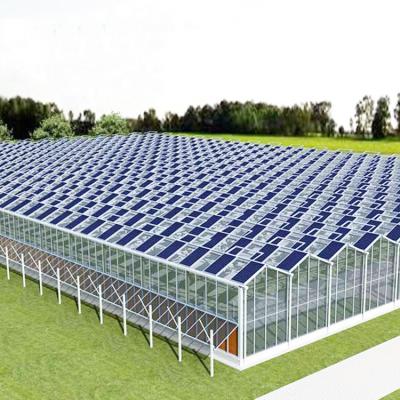 China Factory direct sale of heat insulation quilt personalized customization photovoltaic roof ventilation greenhouse for sale