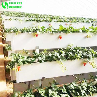 China Strawberry Planting Factory Wholesale Strawberry Hydroponic Growing Systems for sale