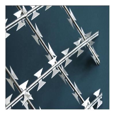 China Tin Guard Razor Wire BTO-22 Fence Hot Sale Factory Galvanized Blade Barbed Wire Fence for sale