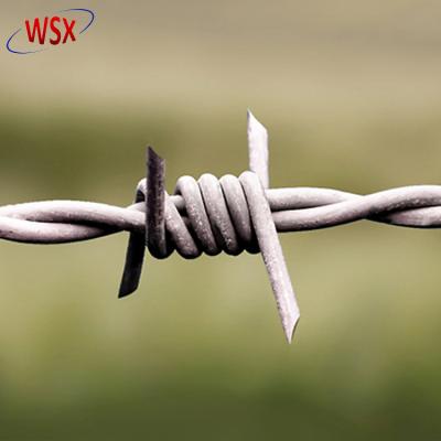 China Cheap price sharp and stable concertina galvanized barbed wire sharp stable meter stainless steel pua alambre for sale