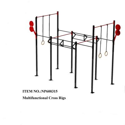 China Durable High Quality Strength Crossfit Rig Fitness Bodybuilding Gym Rack for sale