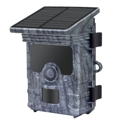 China 2021 Outdoor UHD WIFI Video Recording Factory New Design 30MP/4K HD Solar Powered Wildlife Game Hunting Trail Camera RD7000WF for sale