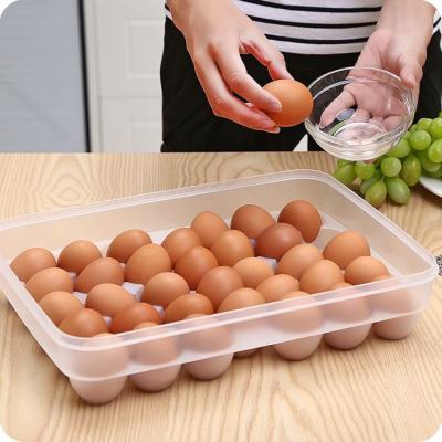 China Various Good Quality Food Clear Egg Carton Plastic Egg Cartons Egg Cartons for sale