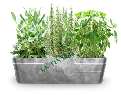 Chine Élevage rectangulaire d'herbes d'usines de légumes de fleur de seau de bidon en métal à vendre