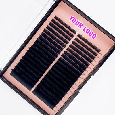 China 8-25mm Large Las Extension Supplies Private Label Faux Mink Volume Cashmere Silk Mink Tray/lashextensions for sale