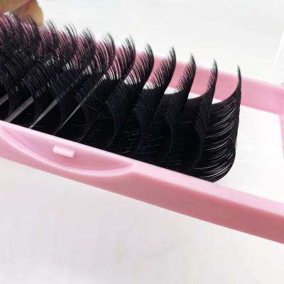 China Wholesale Clean Natural Korean Premium Brand PBT Volume Long Lashes Mink Eyelash Extensions Different Trays 25mm for sale