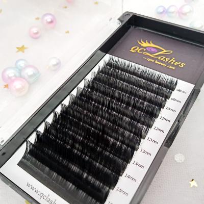 China Feather Good Selling Quality Perfect Eyelash Extension Whips Eyelash Extensions for sale