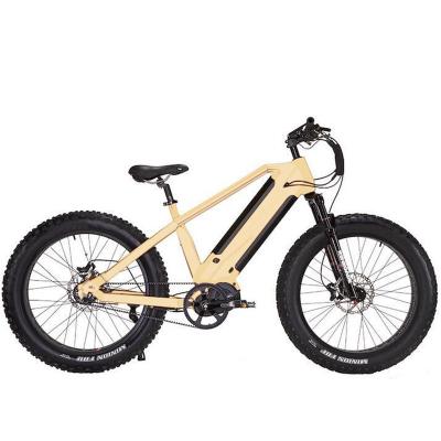 China Good Quality 48V 1000W Standard Beach Cruiser Electric Bike with Smart Pedal Auxiliary System for sale