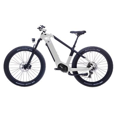 China China Dealer CE Multi-Function Super Lightweight Mountain Bicycle Electric Uniwheel Mountain Bicycle for sale