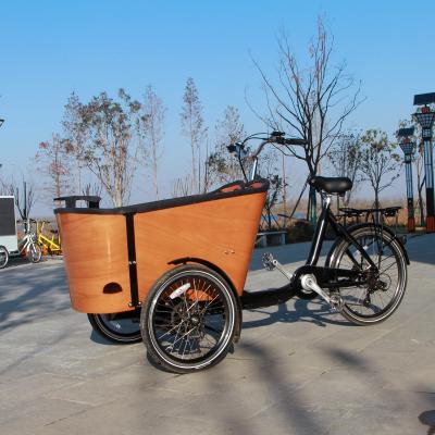 China Multifunctional Family Electric Cargo Bicycle Mid Drive 2 Wheel Bike For Kids for sale