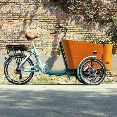 China 2021 Steel Frame Multifunctional Cargo Bike With Wooden Box 250w Battery Electric Tricycle for sale