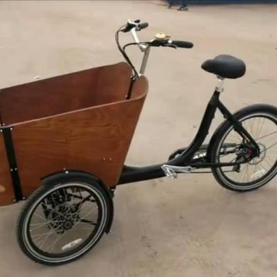 China China Factory Multifunctional Electric Tricycle 36V 48W 10Ah Li-ion Battery Brushless Cargo Tricycle for sale