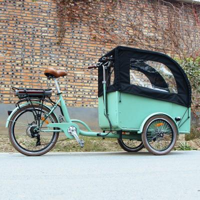 China Sale Multifunctional Coffee Flower Coffee Flower Tricycle 36v 3 Wheel Electric Cargo Ebike for sale