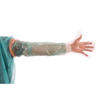 China Long Arm Water Proof Glove Veterinary Gloves Long Length Plastic Gloves In Porcelain With Soft Feel for sale