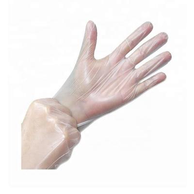 China Powder Free Polymer 0.032mm Stretch Poly Blue Clear Water Proof Gloves 200 Gloves Per Box for sale