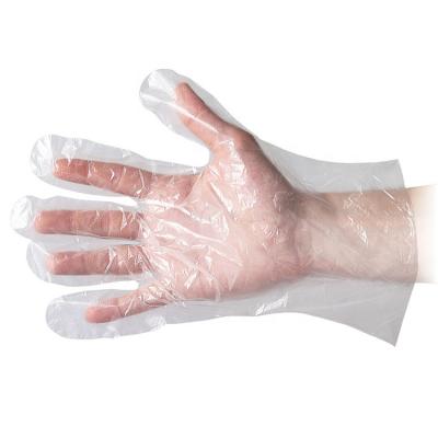 China Household Cleaning Plastic Grocery Prep Disposable Seafood Gloves Ready-to-eat Gloves Biodegradable Pe for sale