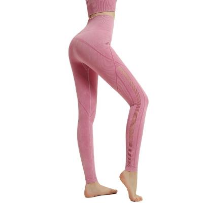 China Chenyu Elastic Seamless Women's Workout Yoga Gym Waistband Pants Breathable Wide Waist Sportswear Gaiters High Waisted Accept Skinny Custom Made for sale