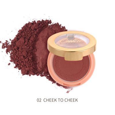 China DURABLE Stock 2021 new trend high quality soft smooth long lasting face make up high matte pigment powder for plain vegan blush for sale