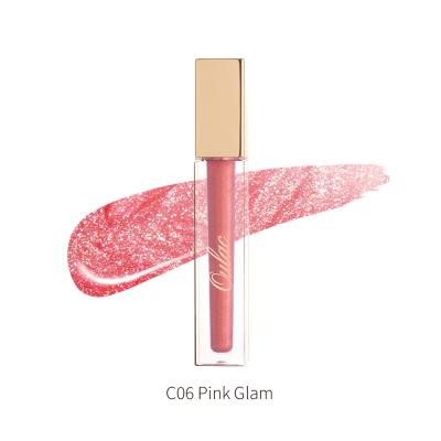 China 2021 Waterproof New Oulac Hot Selling Shimmer Moisturizing Crystal Clear Natural Lip Tint Gloss With Luxury Lip Gloss Tubes for sale