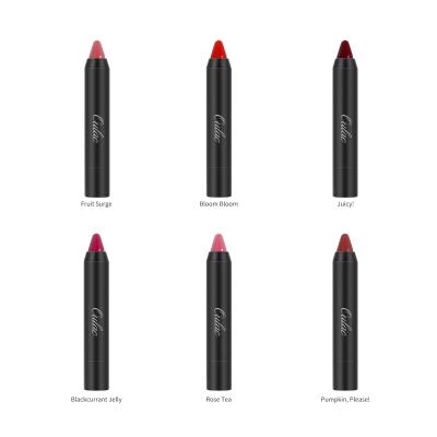 China OULAC Problack Makeup Artist Waterproof Lip Cosmetics Professional Lip Pencil Color Shine Lip Pencil for sale