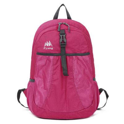 China foldable backpack pink colorful wholesale backpacks for travel for sale