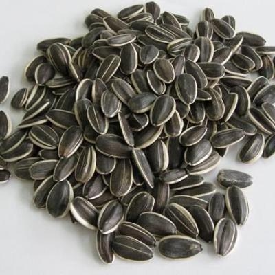 China Acmefate Dry Bulk Price Of Chinese Wholesale Striped Sunflower Seeds for sale