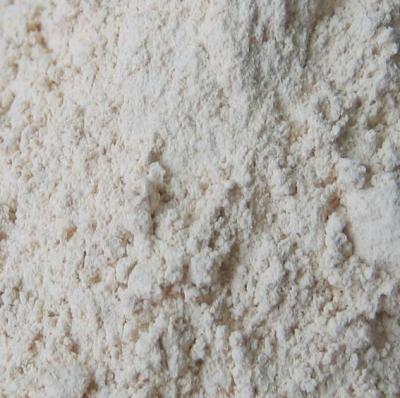 China Dry Wholesale Dehydrated Garlic Powder Granule Flake Manufactures for sale