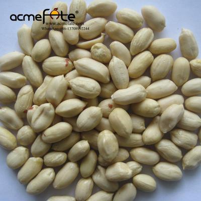 China Fresh High Quality Blanched Peanut Kernels 35/39 for sale