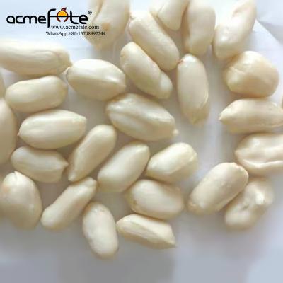 China Fresh High Quality Long Shape / Round Shape Blanched Peanut Kernels Shelled Peanut Kernels 35 / 39 for sale