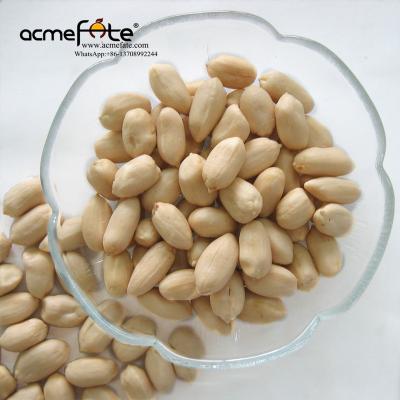 China Fresh High Quality Blanched Peanut Kernels Shelled Peanut Kernels 25/29 for sale