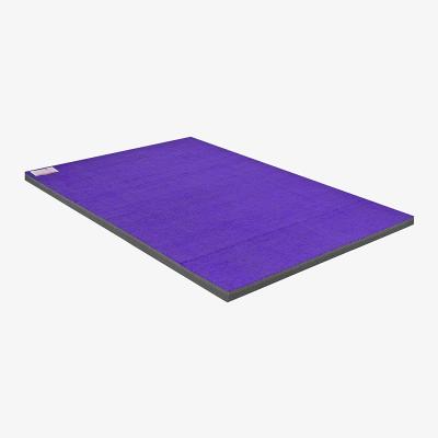 China Best Quality XPE Anti-Slip Roll Cheering Gym Mat Wrestling Mat for sale