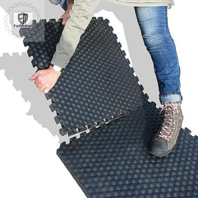 China EVA Rubber Mat Horse Stable Equimat Non-Toxic Rubber Top and EVA Base Stall Mat for sale