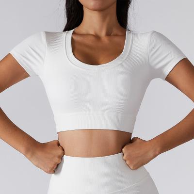 China 2022 Breathable Plain Short Sleeve Yoga Top Women Skinny Fitness Wear Quick Dry Ribbed Short Sleeve Crop Top Sports Wear Workout Clothing for sale