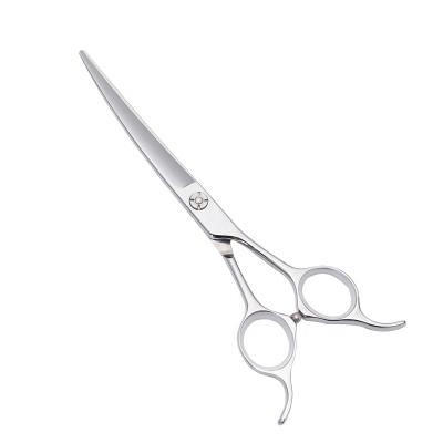 China High Quality Viable Professional Curved Ergonomic Japanese Steel Blade Hitachi Pet Grooming Scissors For Dog Hair Cutting AF-65Q for sale