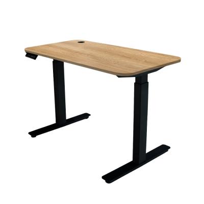 China (Height) adjustable electric adjustable desk with HPL mesa escritorio elevable electrica for sale