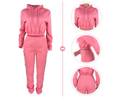 China 2021 Autumn Women Gym Popular Solid Sweater Set Washable 2 Piece Workout Hooded Collar Long Sleeve Cropped Top Panty Sets for sale