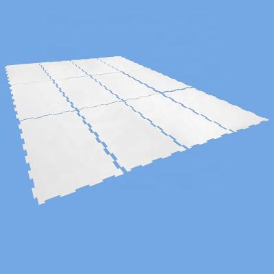 China Widely Used Uhmwpe Curling Synthetic Ice Sheet Board Skate For Artificial Ice Synthetic Ice Rinks for sale