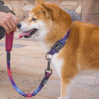 China Durable Nylon Pet Leash Elastic Contraction Used By Big Naughty Fierce Dogs Go Out And Roam Non-Slip Grip for sale