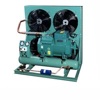 China Machinery Repair Shops Bizter Refrigeration Condensing Unit , Bizter Condensing Unit Price for sale