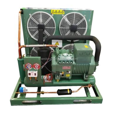 China Machinery Repair Shops Refrigeration Condensing Unit For Ice Cream Freezer for sale