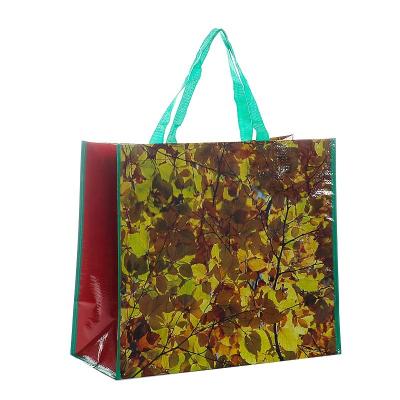 China Degradable Laminated PP Woven Bag Handled Eco-friendly Reusable Tote Bag Printing Logo for sale