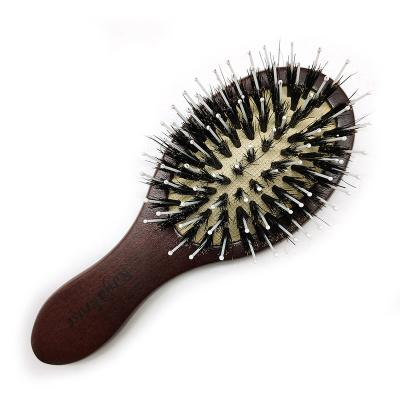 China Small Compact Portable Travel EUROTECH Wooden Hair Brush for sale