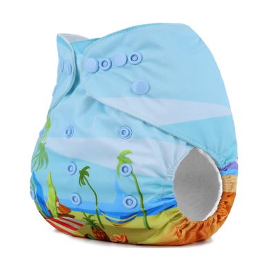 China Ananbaby Embroidered Cloth Diapers Baby Cloth Diaper For Sale Reusable Baby Cloth Diaper for sale