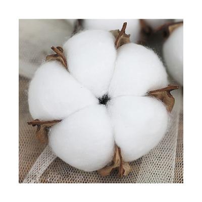 China Home Party Wedding Decoration high quality colorful white pink yellow purple blue natural Decor dried flowers cotton Branch Cotton Stems for sale