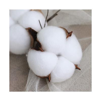 China Home Party Wedding Decoration Cotton heads high quality colorful white natural farmhouse decor dried flower real cotton Branch Cotton Stems for vase Christmas for sale