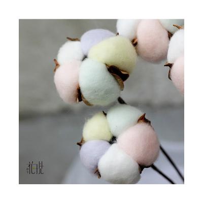 China Home Party Wedding Decoration Christmas high quality colorful white pink yellow purple blue natural Decor dried flowers crafts cotton Branch Cotton Stems for sale