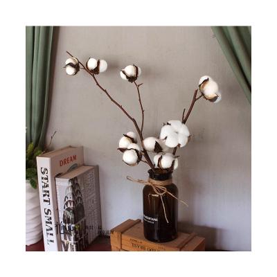 China Home Party Wedding Decoration Christmas high quality colorful white pink yellow purple blue natural Decor dried flowers crafts cotton Branch Cotton on stems for sale